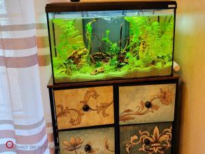 Appartamento con 2 Camere da Letto