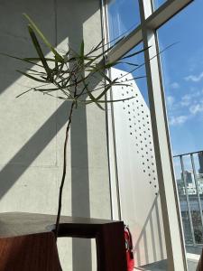 Gangnam, Sinnonhyun Station - Hidden House