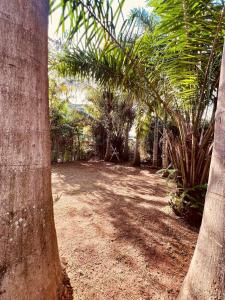 Cozy Studio-Garden Pool Restaurant, 5 mins to CBD