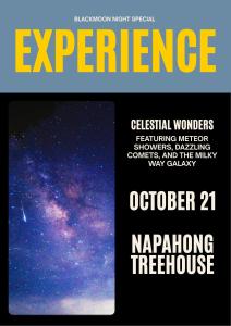 Napahong Treehouse forest camp