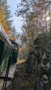 The Hunters Glamping