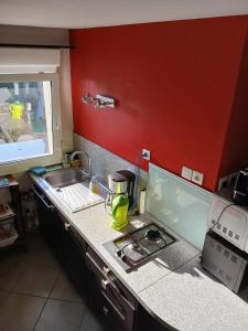 Maison de bord de mer - Finistère Sud - jardin clos