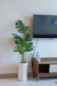 CAvenue Uptown Parksuites BGC