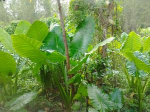 RELAX ECO Life Center-Khao Lak