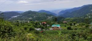 Aasara Homestay Bhimtal