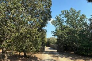 Les Campanettes Superb Mas in Provence