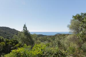 Villa RoccaPina 35 m2 - 2 - 4 people Rondinara, Bonifacio