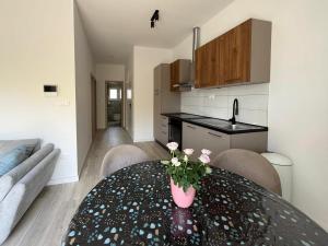 Apartment Mark - Old Town of Sinj view, parking