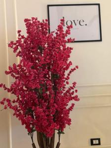 Luxury Fully Furnished Apartment - New Cairo