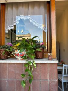 Vacanze Romane House