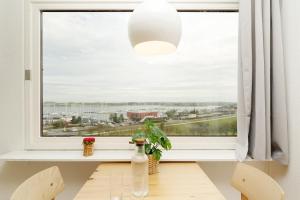 Stranddistel 4 Hafenperle