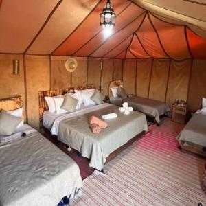 Oasis Desert Luxury Camp