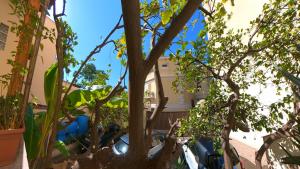 Villa Regina - Sylva