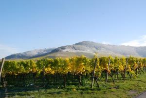 Weingut Ilmbacher Hof