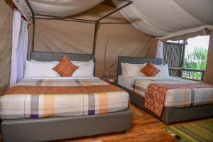 Oldarpoi Wageni Camps