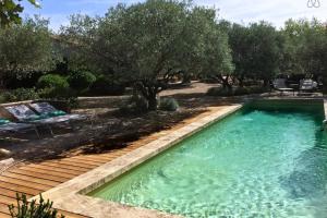 La Matina Family Haven with Olive Garden Oasis