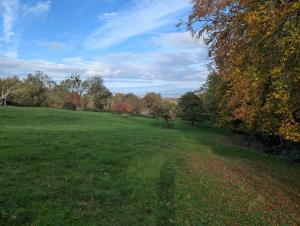Woodland Cabin - Cotswold Way - Logs & Dogs