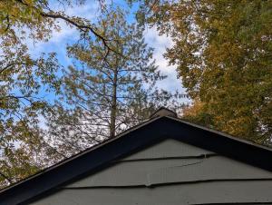Woodland Cabin - Cotswold Way - Logs & Dogs