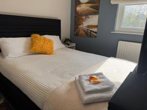 Cosy and quiet apartment