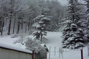 Ferienhaus im Pochwerksgrund in Suhl Goldlauter im Thüringer Wald