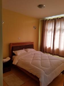 Almasi airport view apartment