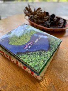 Modern & Calm Stay Near Provenza