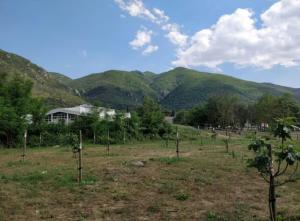 Joli appartement avec jardin à 5 min des Thermes