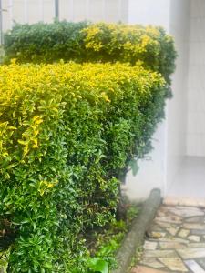 Like Home Apartments