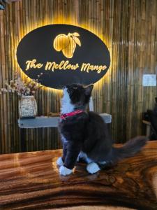 The Mellow Mango