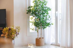 Bravissimo Pedret, Barri Vell apartment