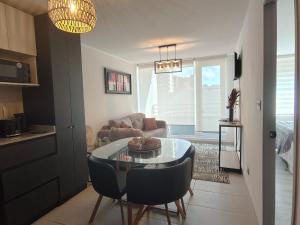 Céntrico en Concepción 1D 1B 1E