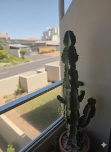 Summertide Beachside Retreat