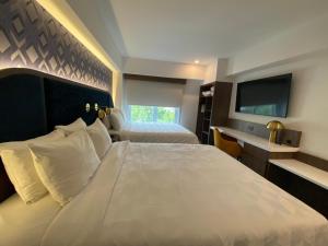 Holiday Inn Express Ciudad de Mexico Condesa by IHG