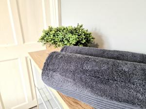 Devon St - Cozy home, Free easy parking!
