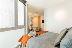 HOM l Wifi AirAcond Cultura Explorar Lastarria