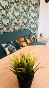 Côté Jardin - 3 people - Netflix