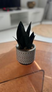 Côté Jardin - 3 people - Netflix