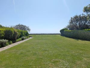 The Owl - Felpham