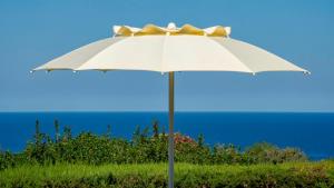 Uno spazio di verde incontaminato con piscina