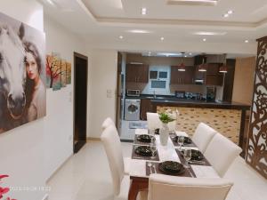Zamalek Nile view classy modern apartment