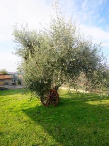 2 Br,1bath with 2 AC units, garden apt in Chianti!