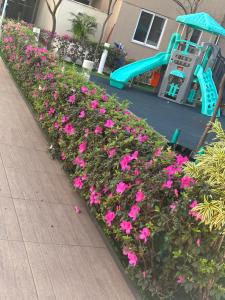 Apartamento aconchegante