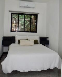 CASA CEA-Swimming Pool Rancho SantaTeresa Malpais