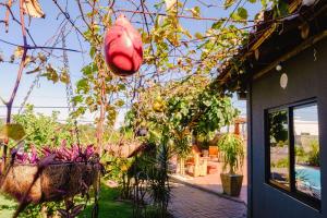 Cabana Raízes - LaCabanasEco