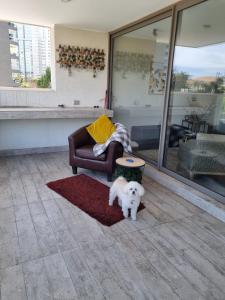 Acogedor y moderno apartamento cerca de Dunas y playa en Con Con