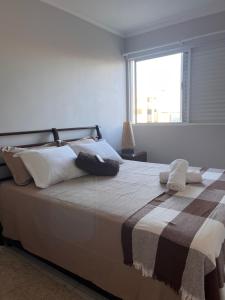 Cobertura Mediterrâneo