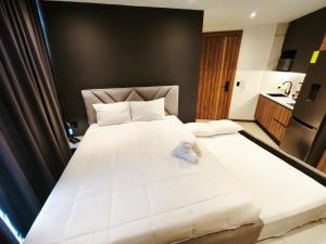 Harmony Coliving Ecuador Pool Carolina Park Quito