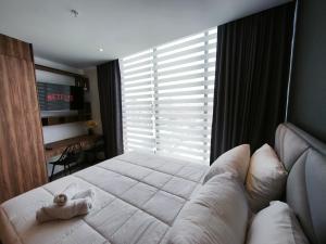 Harmony Coliving Ecuador Pool Carolina Park Quito