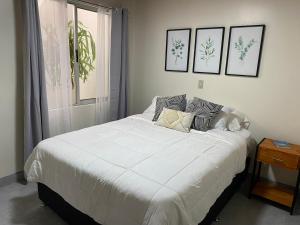 Casa Flory-El jardin secreto-