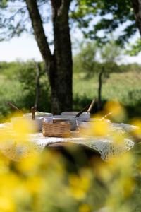 Yellow Cardinal Lodge